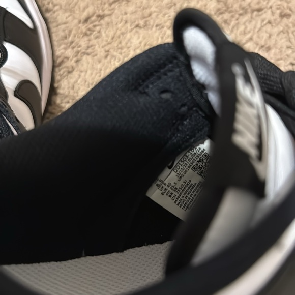 Panda dunks - Picture 5 of 5